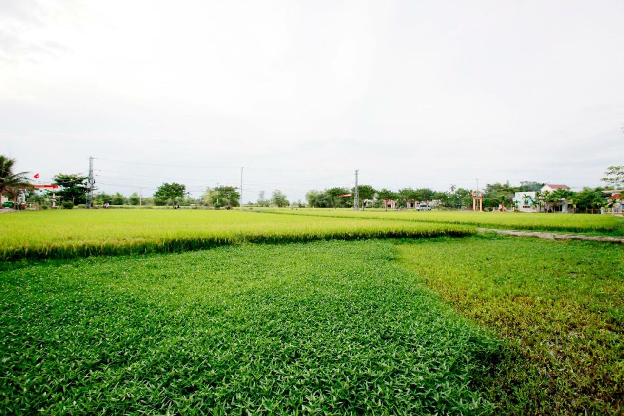 Rice Flower Homestay Хойан Экстерьер фото